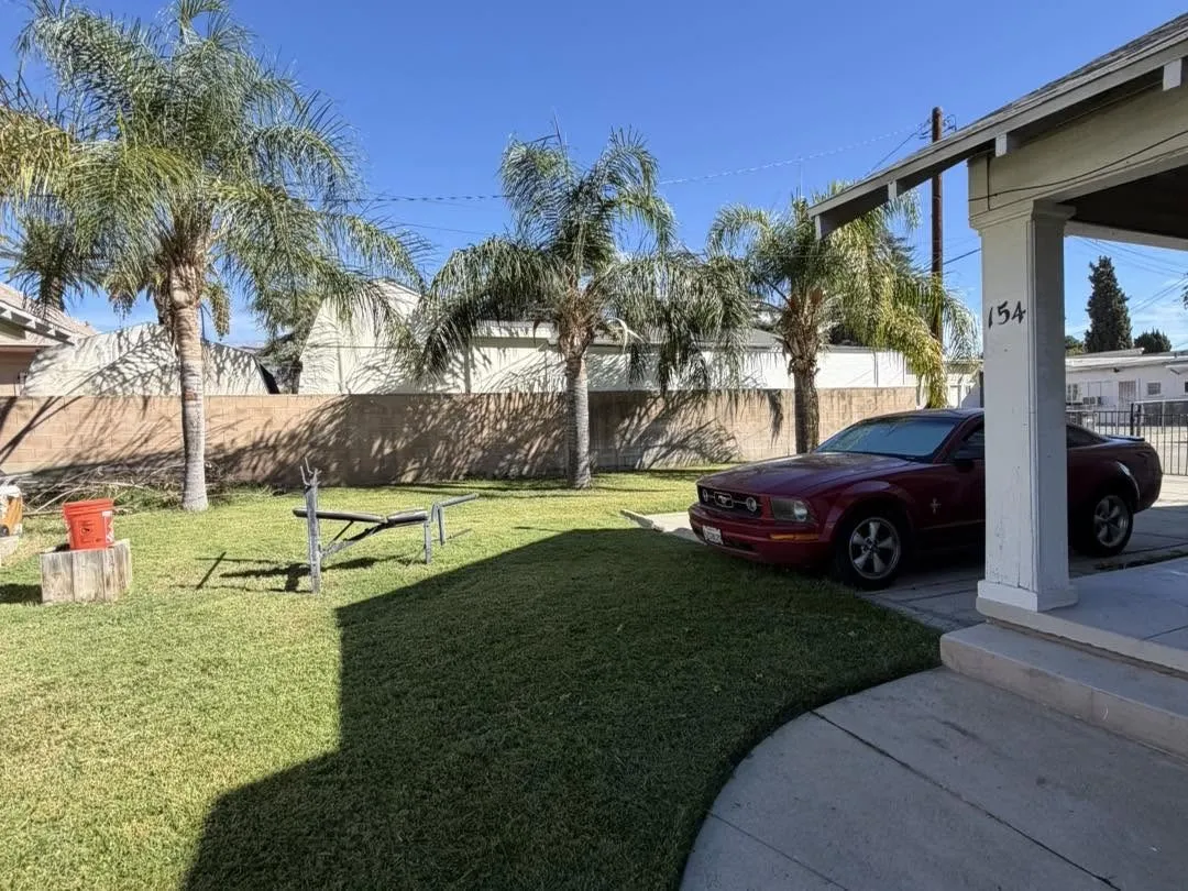 Freshly mowed front lawn with palm trees and a sunny driveway